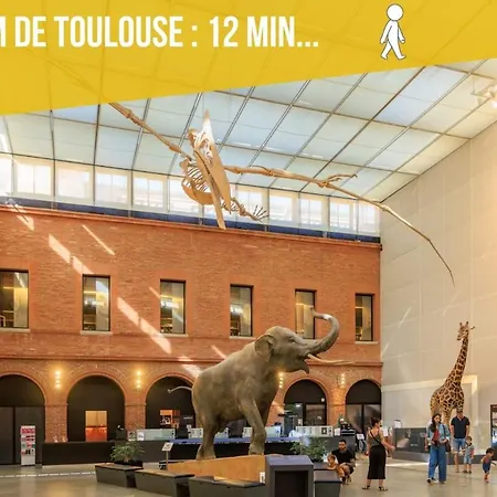Le Paradoux - Luxe & Brique Au Coeur De Apartamento Toulouse