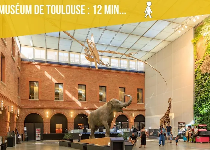 Le Paradoux - Luxe & Brique Au Coeur De Lägenhet Toulouse